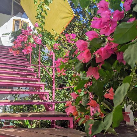 Michele'S Garden Bed and Breakfast Anjuna Εξωτερικό φωτογραφία