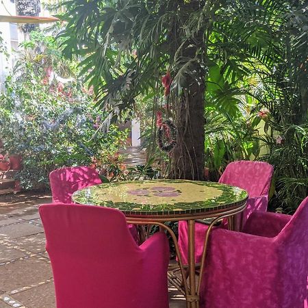Michele'S Garden Bed and Breakfast Anjuna Εξωτερικό φωτογραφία