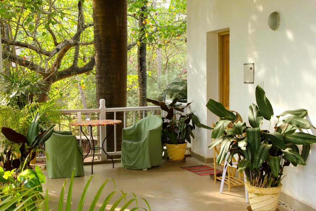 Michele'S Garden Bed and Breakfast Anjuna Δωμάτιο φωτογραφία