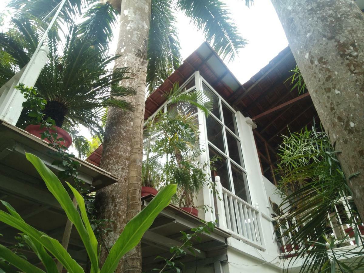 Michele'S Garden Bed and Breakfast Anjuna Εξωτερικό φωτογραφία