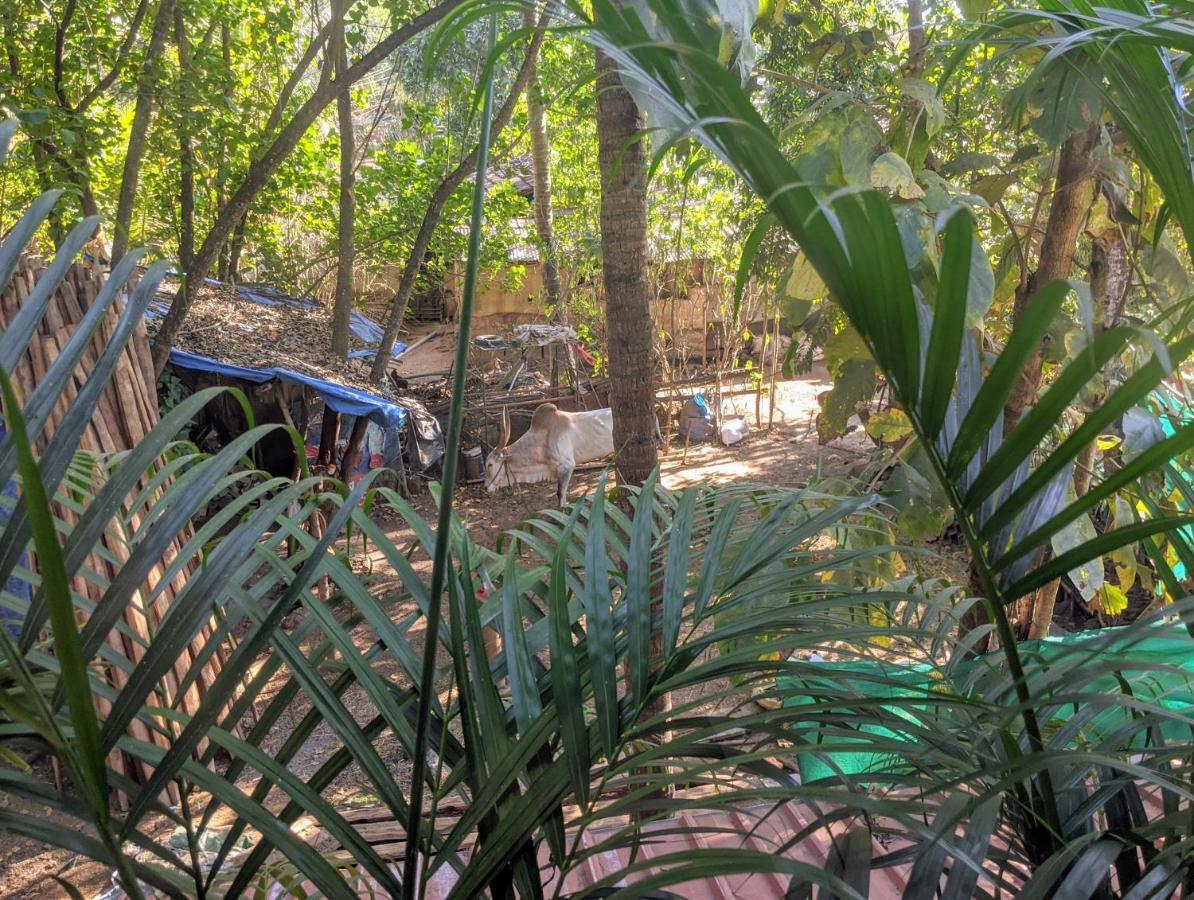 Michele'S Garden Bed and Breakfast Anjuna Εξωτερικό φωτογραφία