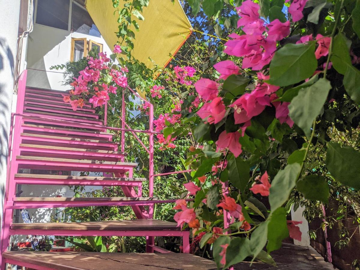Michele'S Garden Bed and Breakfast Anjuna Εξωτερικό φωτογραφία